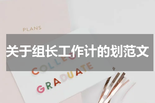 关于组长工作计的划范文