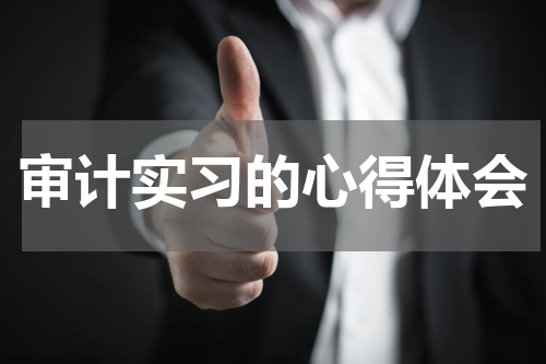 审计实习的心得体会