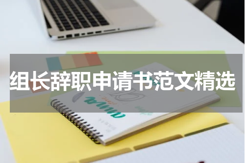 组长辞职申请书范文精选