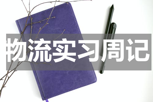 物流实习周记