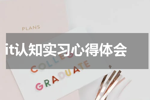 it认知实习心得体会