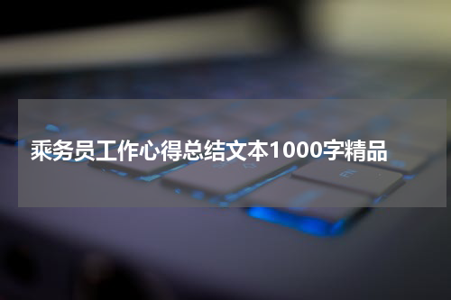 乘务员工作心得总结文本1000字精品
