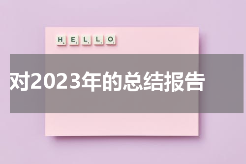 对2023年的总结报告