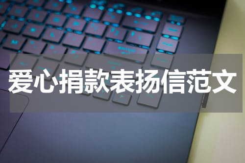 爱心捐款表扬信范文