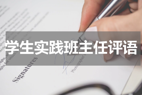 学生实践班主任评语