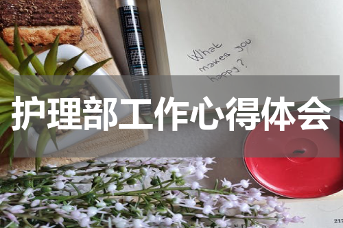 护理部工作心得体会