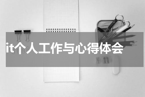 it个人工作与心得体会