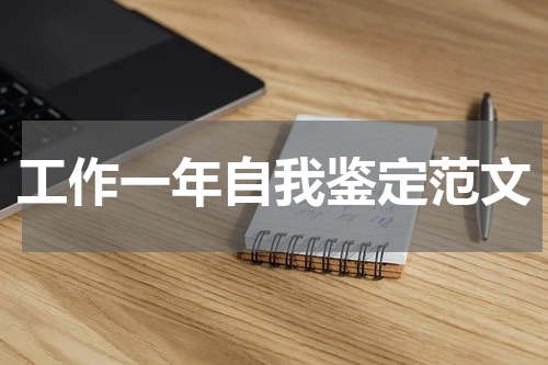工作一年自我鉴定范文