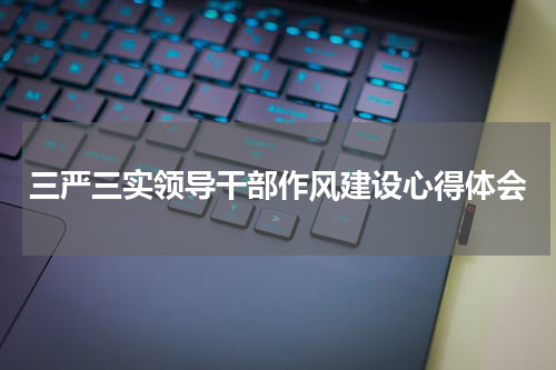 三严三实领导干部作风建设心得体会