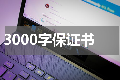 3000字保证书