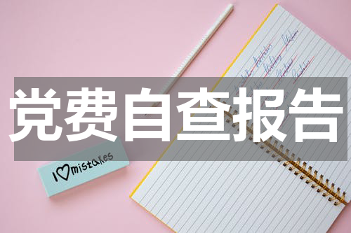 党费自查报告