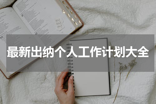 最新出纳个人工作计划大全