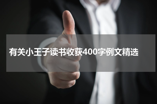 有关小王子读书收获400字例文精选