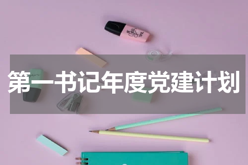 第一书记年度党建计划