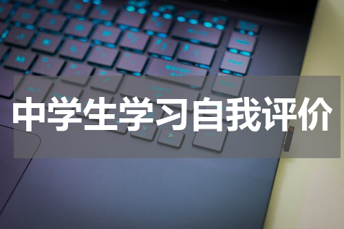 中学生学习自我评价