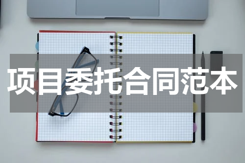 项目委托合同范本