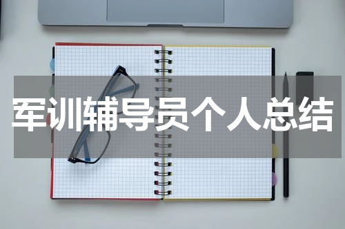 军训辅导员个人总结