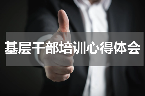 基层干部培训心得体会