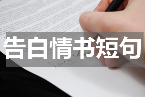 告白情书短句