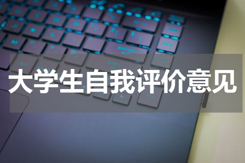 大学生自我评价意见