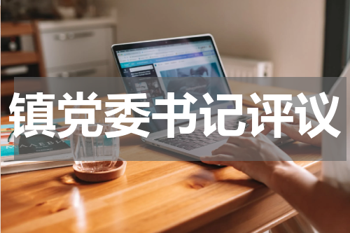 镇党委书记评议