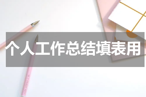 个人工作总结填表用