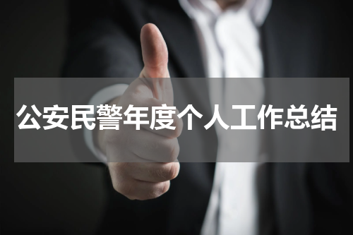 公安民警年度个人工作总结