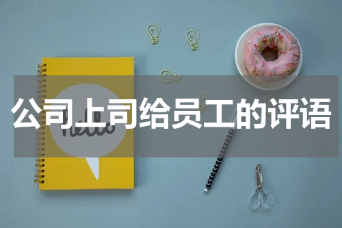 公司上司给员工的评语