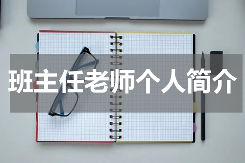 班主任老师个人简介