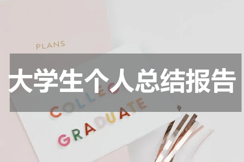 大学生个人总结报告