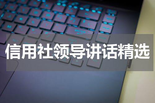 信用社领导讲话精选