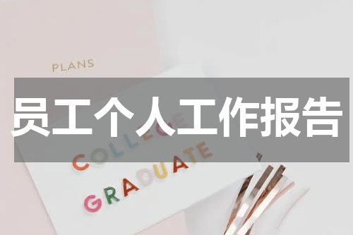 员工个人工作报告
