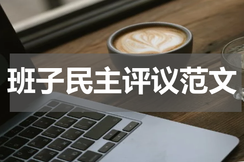班子民主评议范文