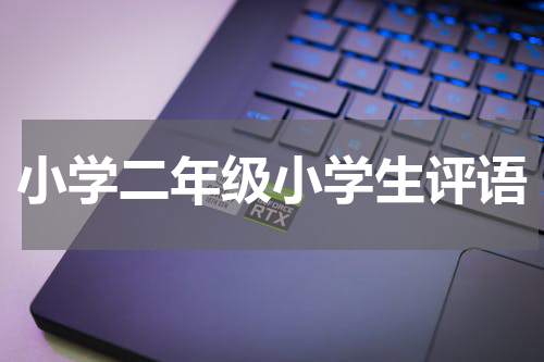 小学二年级小学生评语