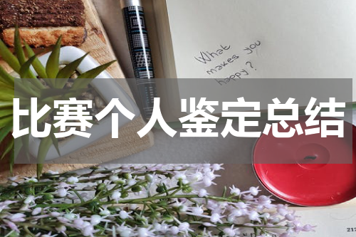 比赛个人鉴定总结