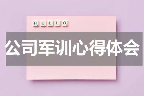 公司军训心得体会