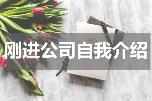 刚进公司自我介绍