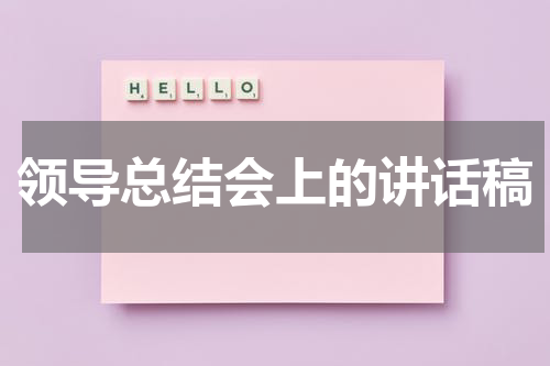 领导总结会上的讲话稿