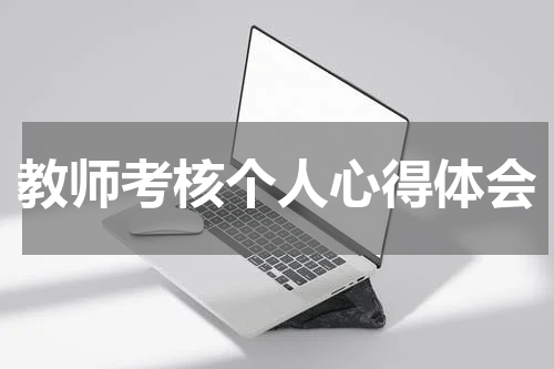 教师考核个人心得体会