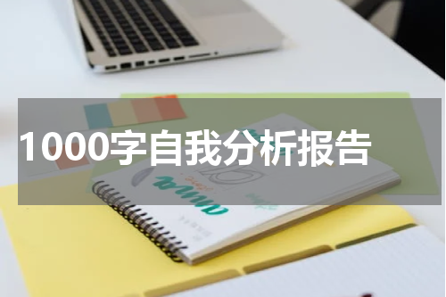 1000字自我分析报告