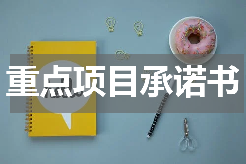 重点项目承诺书