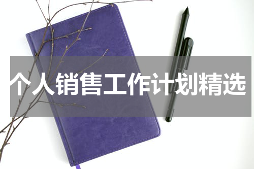 个人销售工作计划精选