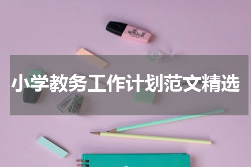 小学教务工作计划范文精选