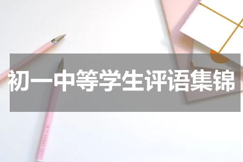 初一中等学生评语集锦