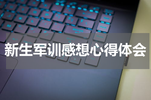 新生军训感想心得体会
