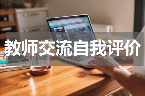 教师交流自我评价