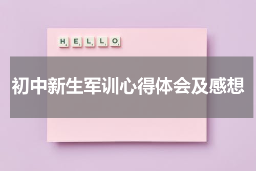 初中新生军训心得体会及感想