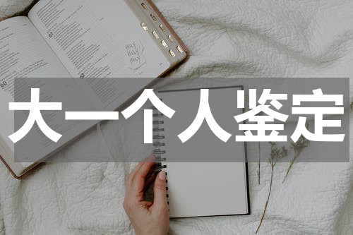 大一个人鉴定