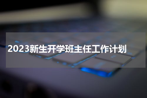 2023新生开学班主任工作计划