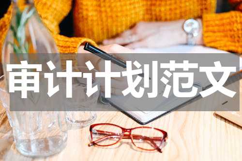 审计计划范文